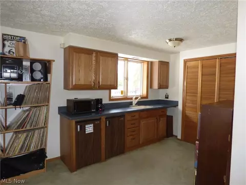 4719 Wenz Rd, Wakeman, OH 44889 photo 14