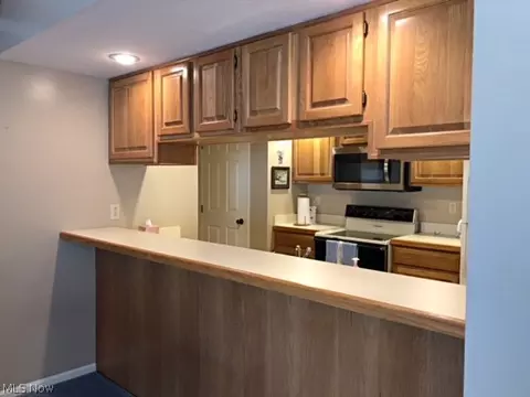 1015 Brittany Dr, Huron, OH 44839 photo 7