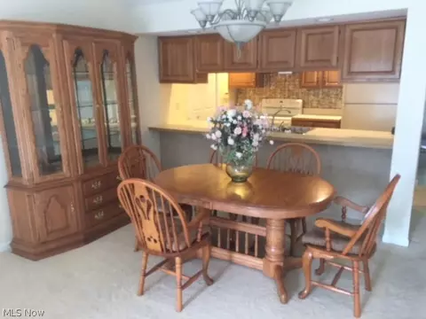 414 Leisure Dr, Huron, OH 44839 photo 13