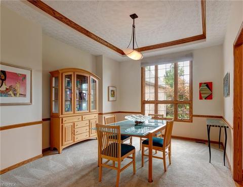 6550 Wooded View Dr, Hudson, OH 44236 photo 6