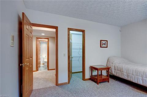 6550 Wooded View Dr, Hudson, OH 44236 photo 30