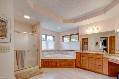 6550 Wooded View Dr, Hudson, OH 44236 photo 18