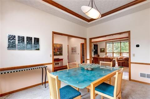 6550 Wooded View Dr, Hudson, OH 44236 photo 7