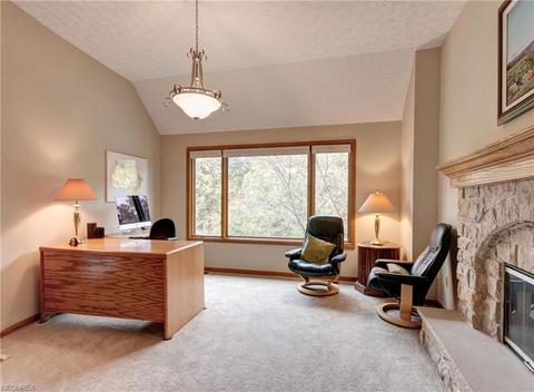 6550 Wooded View Dr, Hudson, OH 44236 photo 15