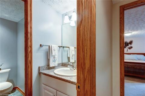 6550 Wooded View Dr, Hudson, OH 44236 photo 28