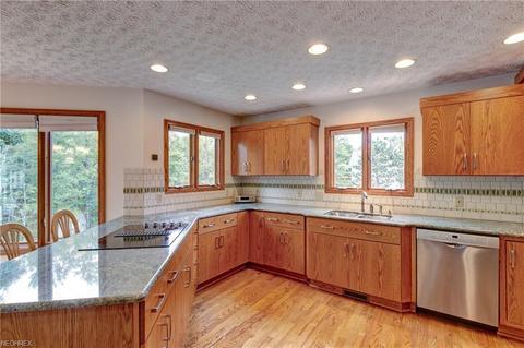 6550 Wooded View Dr, Hudson, OH 44236 photo 8