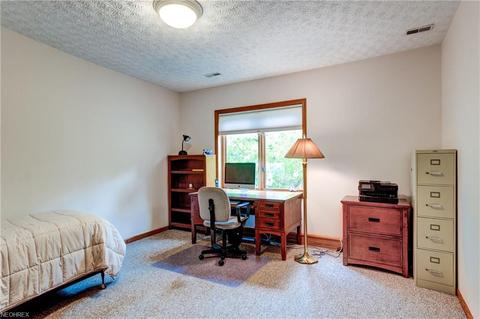 6550 Wooded View Dr, Hudson, OH 44236 photo 29