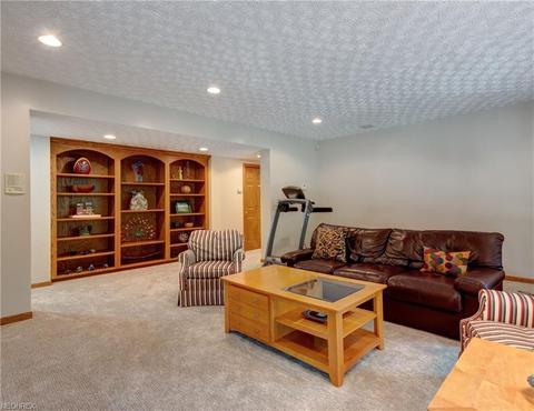 6550 Wooded View Dr, Hudson, OH 44236 photo 23