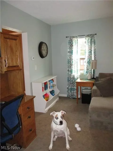 3405 Dickenson Rd, Ashtabula, OH 44004 photo 10