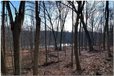 1193 W River Rd N #A2, Elyria, OH 44035 photo 29