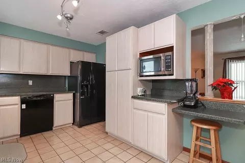 4189 Case Rd, Avon, OH 44011 photo 9
