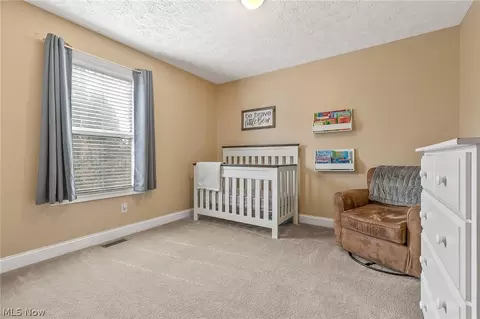 6033 Collins Rd, Mentor, OH 44060 photo 23