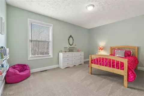 6033 Collins Rd, Mentor, OH 44060 photo 24