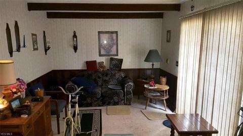 3985 Call Rd, Perry, OH 44081 photo 4