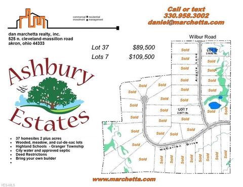 4038 Argyle Ln, Granger, OH 44256 photo 3