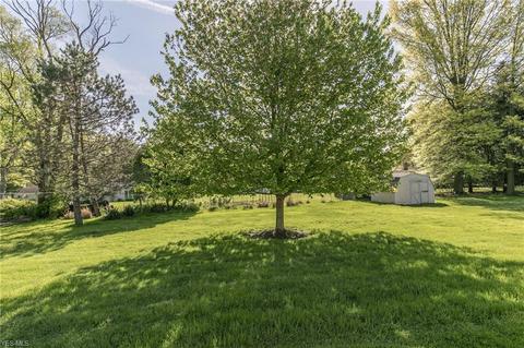 7015 Hemoga St, Independence, OH 44131 photo 25