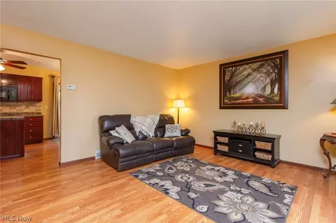 147 Parklane Dr, Lagrange, OH 44050 photo 4