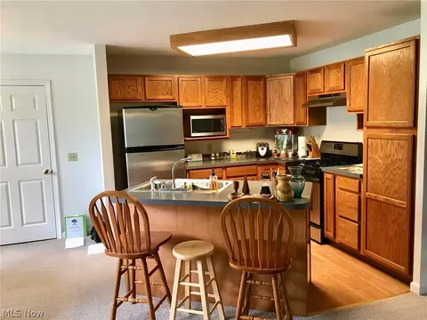 1933 Deerfield Dr, Ashtabula, OH 44004 photo 6