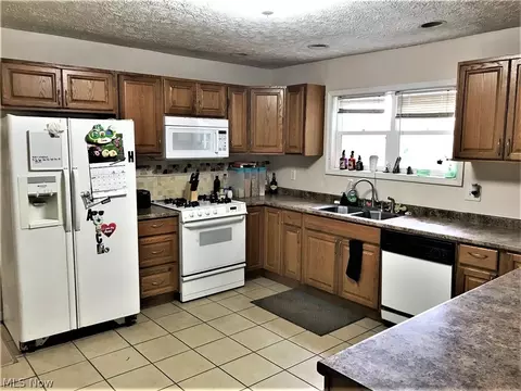 4314 N Ridge Usr 20 Rd, Ashtabula, OH 44004 photo 4