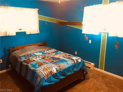 107 S Ridge Rd W, Conneaut, OH 44030 photo 9