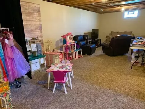 741 Bobcat Dr, Lagrange, OH 44050 photo 34