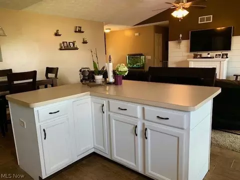 741 Bobcat Dr, Lagrange, OH 44050 photo 9