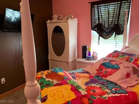 741 Bobcat Dr, Lagrange, OH 44050 photo 29