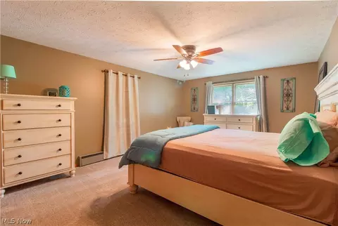 6424 Lee Road Ext, Ashtabula, OH 44004 photo 14