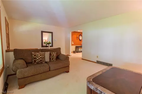 6424 Lee Road Ext, Ashtabula, OH 44004 photo 13
