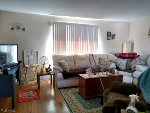 9893 Bright Dr, Windham, OH 44288 photo 4