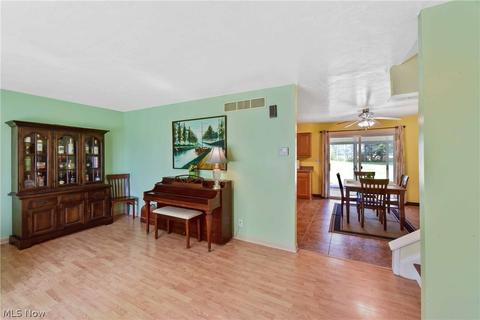 40282 Biggs Rd, Lagrange, OH 44050 photo 10