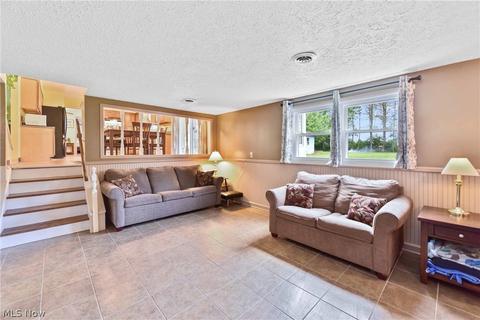 40282 Biggs Rd, Lagrange, OH 44050 photo 4