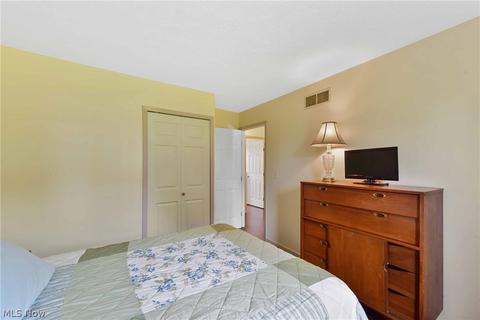 40282 Biggs Rd, Lagrange, OH 44050 photo 29