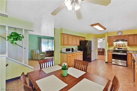 40282 Biggs Rd, Lagrange, OH 44050 photo 11