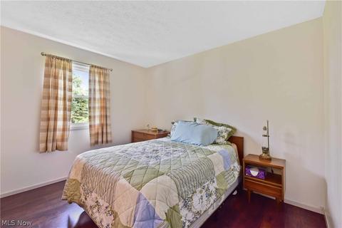 40282 Biggs Rd, Lagrange, OH 44050 photo 27