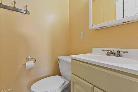 40282 Biggs Rd, Lagrange, OH 44050 photo 26
