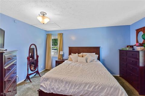 40282 Biggs Rd, Lagrange, OH 44050 photo 20
