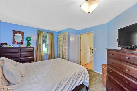40282 Biggs Rd, Lagrange, OH 44050 photo 21