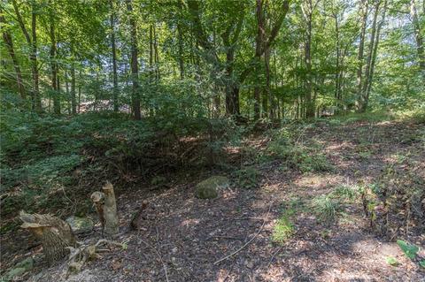 6404 Brecksville Rd, Independence, OH 44131 photo 30