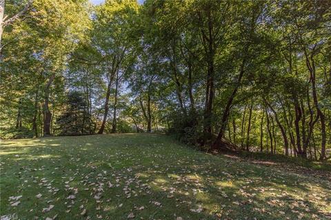 6404 Brecksville Rd, Independence, OH 44131 photo 34
