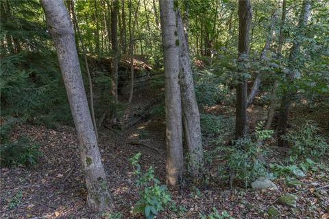 6404 Brecksville Rd, Independence, OH 44131 photo 35