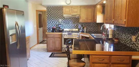 4717 S Ridge Rd E, Ashtabula, OH 44004 photo 4
