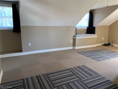 309 Elyria St, Lodi, OH 44254 photo 28