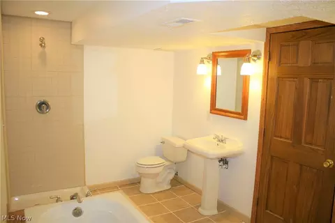 309 Elyria St, Lodi, OH 44254 photo 33