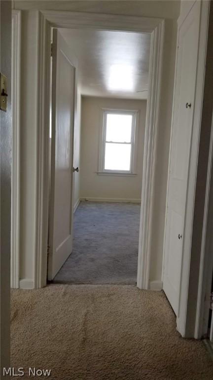 24 Melrose Ave, Boardman, OH 44512 photo 7