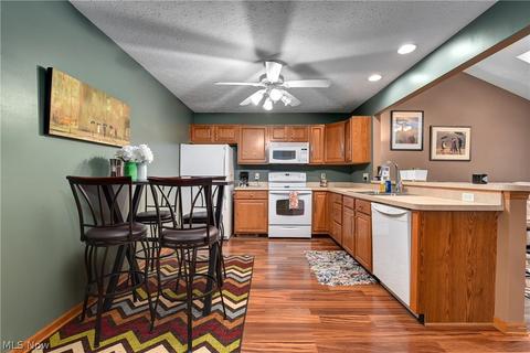 133 Emily Ln, Elyria, OH 44035 photo 4
