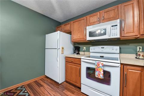 133 Emily Ln, Elyria, OH 44035 photo 6