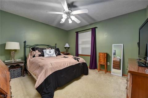 133 Emily Ln, Elyria, OH 44035 photo 19