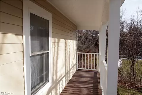 226 Elyria St, Lodi, OH 44254 photo 13
