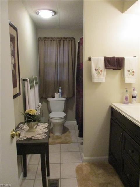 106 Pike Ct, Lagrange, OH 44050 photo 14